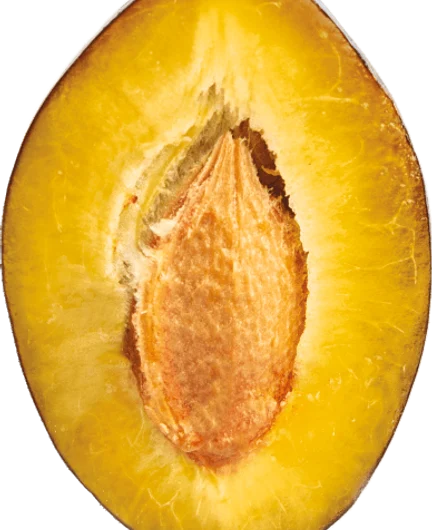 37627c78-c2ec-4834-8f37-12f73a5d960e-25.png