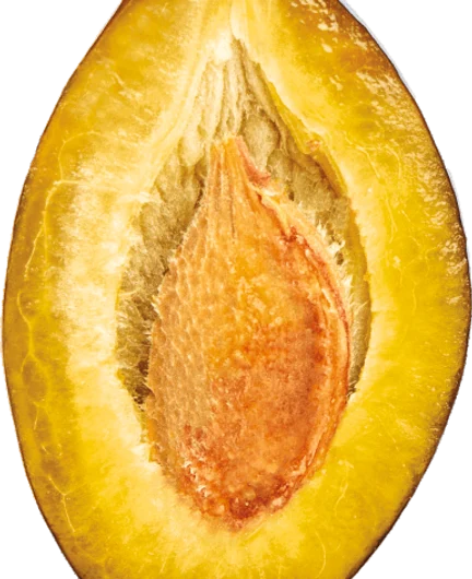 c15ad1d9-b80e-4c28-a94d-85dab28d2443-28.png