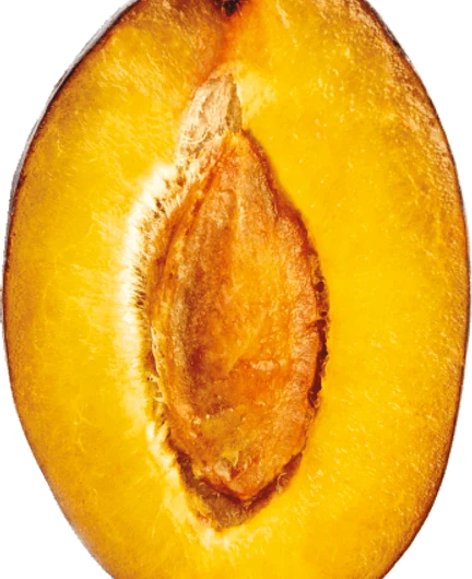 8066af59-d342-40b7-a29b-ee5e5a19cf65-34.png