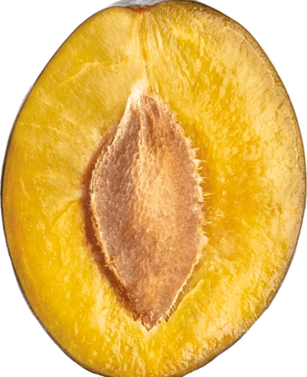 5e2da181-8b0b-4f4c-a9f7-2f418cf21050-32.png