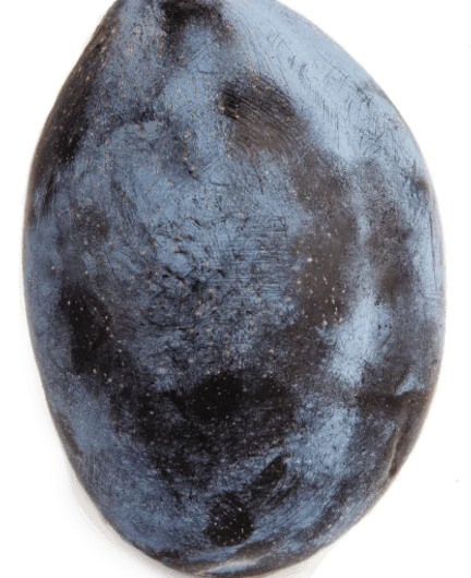 e2f0804d-cc53-4995-9e10-aa1e38d17668-33.png